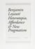 Heterotopia, Affordance and New Pragmatism