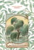 Le petit livre des arbres - saule pleureur