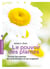 Le pouvoir des plantes - toutes les plantes qui préviennent et qui soignent