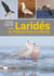 Les laridés du paléarctique occidental : guide d'identification des mouettes et des goëlands