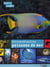 Extraordinaires poissons de mer