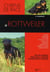 Le rottweiller