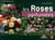 Les roses parfumees