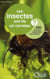 Les insectes ont-ils un cerveau ? 200 clés pour comprendre  les insectes