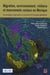 Migration, environnement, violence et mouvements sociaux au mexique - dynamiques régionales en contexte d'économie globalisée