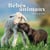 Bébés animaux - calendrier (édition 2021)