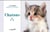 Calendrier perpétuel chatons