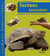 Tortues Terrestres