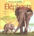 Animaux en famille - elephants