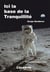 Ici la base de la Tranquilité - la nuit du 20 au 21 juillet 1969