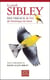 Le guide sibley des oiseaux de l'est de l'amerique du nord