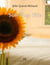 Soleil en tête