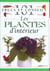 Plantes d'intèrieur