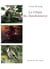 Le chant du chardonneret
