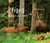 Vosges, pays du cerf