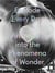 Explode every day an inquiry into the phenomena of wonder