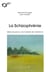 La schizophrénie - idées reçues sur une maladie de l'existence
