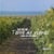 Ile de Ré, terre de vignes - land of the vine