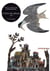 Livre des plumes Tome 1 : les oiseaux