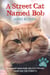 A Street Cat Named Bob : How one man and his cat found hope on the streets