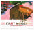 Icônes de l'Art moderne