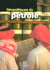 Géopolitiques du pétrole