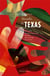 NOUVELLES DU TEXAS