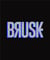 Brusk. in nomine artis