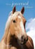 MON JOURNAL INTIME CHEVAL