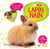 Mon lapin nain