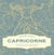 Capricorne : Découvrez votre ciel intérieur et incarnez votre signe astral
