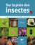 Sur la piste des insectes