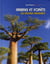 Arbres et forêts - un monde fascinant