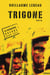 Trigone - la dernière guerre 2008-2011