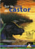 Sur la piste du castor