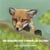 UN RENARD PAS COMME LES AUTRES
