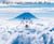Eighty-eight views of mt. fuji /anglais/japonais