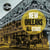 New Orleans All Stars