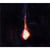 Miserere lumins - CD