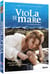 Viola di mare
