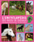 Sophie thalmann / encyclopedie des races de chevaux
