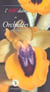 L'abcdaire des orchidees