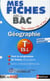 MES FICHES ABC DU BAC : géographie - terminale ES-L