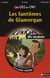 L'ENIGME DES VACANCES PRIMAIRE Tome 3 : les fantômes de Glamorgan - du CE2 au CM1 - 8/9 ans