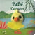 Bébé canard