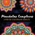 Mandalas complexes - livre de coloriage art-therapie