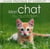 Mon chat au quotidien
