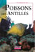 À la découverte des... poissons des Antilles