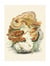 Tirage : polyporus giganteus