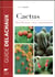 Cactus - identification, soins, reproduction